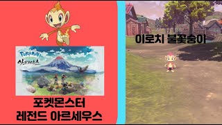 이로치 불꽃숭이 레전드 아르세우스 shiny chimchar [upl. by Roath]