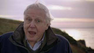 Cambrian Explosion  First Life with David Attenborough [upl. by Richards]