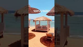 Discover the ultimate getaway at Parrotel Beach Resort 🏖️🌴sharmelsheikh [upl. by Denby]