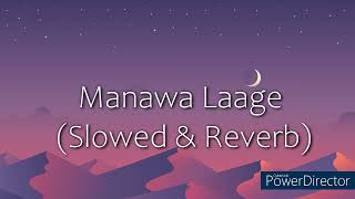 Manawa Laage  Slowed amp Reverb [upl. by Malinowski41]