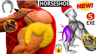 Tricep Tear Down  5 Exercises to Build MASSIVE Horseshoe Triceps [upl. by Llewoh]