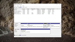 Fix SSD Not Showing in Windows 1011 with 4 Methods [upl. by Ahtaga]