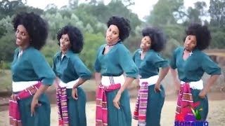 Best Ethiopian Traditional Music 2014 Solomon Demle  Mech Ayeshiwuna [upl. by Asiat]