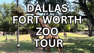 Zoo Tour Dallas  Fort Worth  Walk Around Full Zoo Tour with Zoo Animals  Texas Zoo [upl. by Griffin]