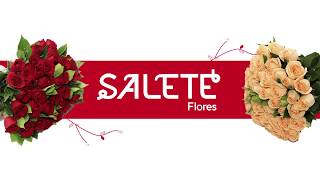 Salete Flores [upl. by Atem]