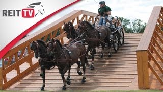 Dressurreiten lernen Richtige Hilfen beim Reiten  die ganze Parade [upl. by Juni]