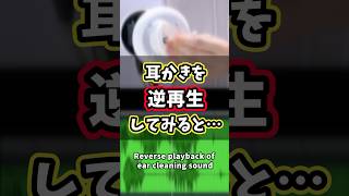 耳かき音を逆再生してみた【ASMR】Reverse playback of ear cleaning sound [upl. by Naret31]