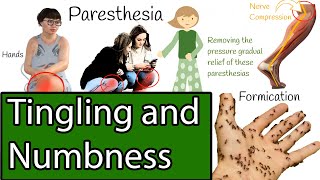 Numbness and Tingling Causes of Paresthesia [upl. by Lehar]