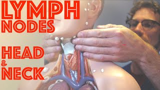 Clinical Examination of Head and Neck Lymph Nodes  Clinical Skills  Dr Gill [upl. by Ia]