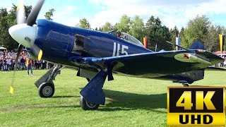 Hawker Sea Fury  Awesome Footage of the fastest piston fighter ever [upl. by Einhapets]