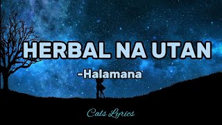 HERBAL NA UTAN  Rudy Tagsip of Halamana Lyrics [upl. by Michaela]