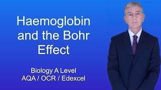 A Level Biology Revision quotHaemoglobin and the Bohr Effectquot [upl. by Kantos]