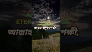 Sura ikhlas সুমধুর কন্ঠে কোরআন তেলাওয়াত shorts youtubeshorts [upl. by Ymmas]