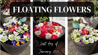 Floating Flower Arrangements [upl. by Lewendal]