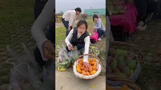 Nature Fresh Fruit Farm shorts shortvideo PE091 [upl. by Noel288]