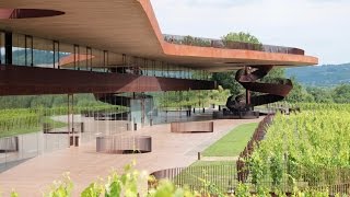 Cantine Antinori [upl. by Esirec650]