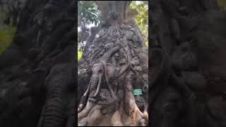 Tree Sculpture Art  Skypark Yercaud  101 Animal in one Tree  ஒரு மரத்தில் 101 விலங்குகள் [upl. by Coffey]