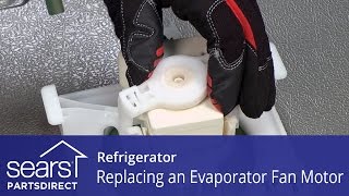 How to Replace a Refrigerator Evaporator Fan Motor [upl. by Anika]