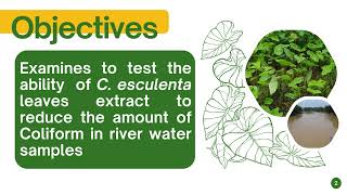 Video PPT Ability of C esculenta reduce Coliform [upl. by Benedikt]