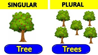 Singular Noun Plural Noun  Nouns  Singular and plural  Basic English grammar  singularandplural [upl. by Bacon]