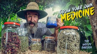 Essential Medicinal Herbs for Health  GROW YOUR OWN MEDICINE  5 Medicinal Herbs you need to know [upl. by Orren]