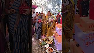 Chhath puja special Ganna Pawan Singhpawansingh chhath chhathpuja viralvideo [upl. by Deelaw]