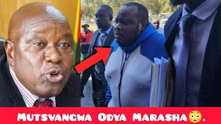 Mutsvangwa Azviramba  Mnangagwa Running Till 2028 😳 [upl. by Ener]