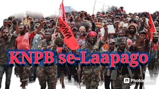 TNI dan Polri Bubarkan Paksa Aksi Damai KNPB seLaapago Peringati New York agreement 15 Agustus 2024 [upl. by Nnayrrehs]