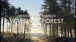 Memory Lane Rambles  Wareham Forest Part 1  Wessex Oval Smells and Childhood Psychogeography [upl. by Amol475]