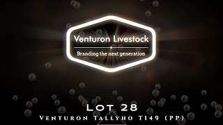 Lot 28 Venturon Tallyho T149 PP [upl. by Iggep524]