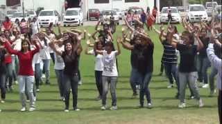 flash mob at ICG The IIS University Jaipur by dept of Psychology [upl. by Terhune866]