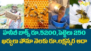 Beekeeping in Telugu  హనీబీ బాక్స్ రూ5200 పెట్టెలు250 ఖర్చులు పోనూ నెలకు రూలక్షన్నర ఆదా ToneAgri [upl. by Harvie]