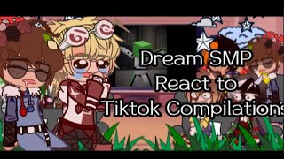 Dream SMP React to Tiktok Compilations [upl. by Roberson]