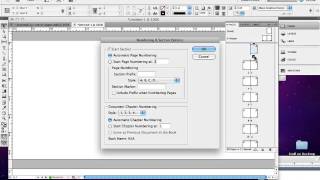 InDesign Numbering amp Section Optionsmp4 [upl. by Nitsu]