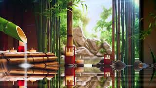 Water Sound Bamboo Fountain🌿Relaxing Sound Of Birds Chirping amp Gurgling Sound Of Calm Flowing Water [upl. by Brig]