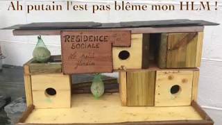 NICHOIRS et MANGEOIRES FAIT MAISON pour les oiseaux du jardin [upl. by Filip]