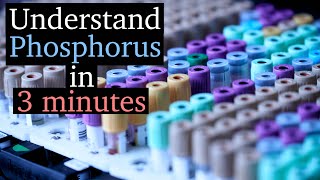 Hypophosphatemia vs Hyperphosphatemia  Phosphorus Imbalances [upl. by Boothman307]