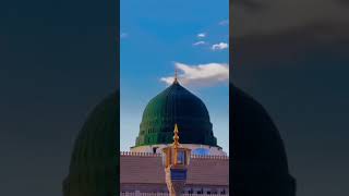 Khadim Hussain Rizvi Most beautiful Poetry khadimhussainrizvishortvideomadina duettreding [upl. by Hcirdeirf406]