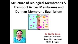 Structure of Biological Membranes amp Transport Across Membranes [upl. by Dominic]