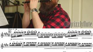 GRIZZLYFLUTE  Piccolo excerpt Mov4 Vivo of Scheherazade by Nikolai RimskyKorsakov [upl. by Airdnaxela]