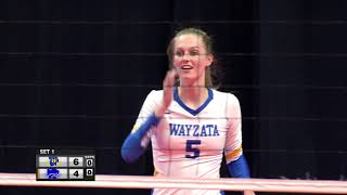 Girls High School Volleyball State Final Wayzata vs Eagan Volleyball [upl. by Hebel632]