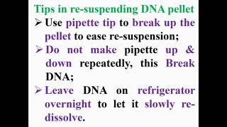 Tips of Resuspending DNA Pellet [upl. by Anibor359]