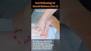 Foot Reflexology for Overall Wellness Part 3 footreflexology stressrelief naturalhealing [upl. by Vail717]