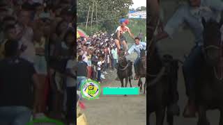 Carreras a caballo Patio Bonito 2023 shorts [upl. by Leonhard671]