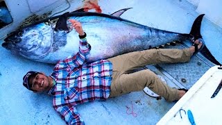 Giant Bluefin Tuna  North Atlantic Fishing [upl. by Leaffar]