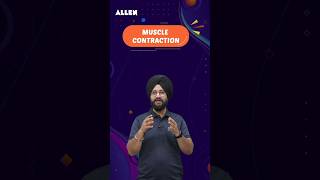 What is Muscle Contraction and how it works  Important for NEET 2024  ALLENNEET shorts [upl. by Maribel]