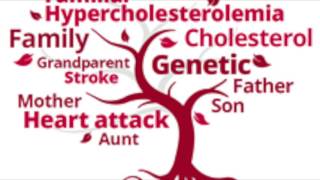 Familial Hypercholesterolemia [upl. by Analah]