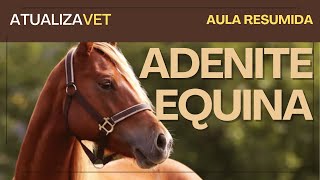 Adenite Equina  AtualizaVet [upl. by Lakim449]