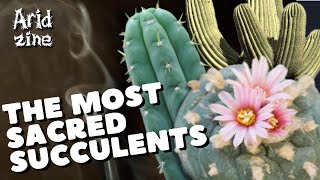 Sacred succulents San Pedro peyote frankincense and others [upl. by Horick]