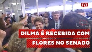 Dilma é recebida com flores no senado [upl. by Araccat]